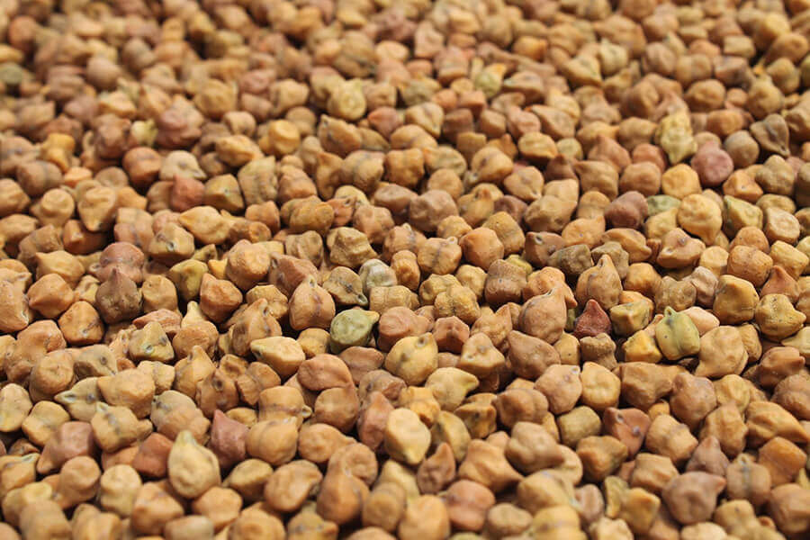Chick Peas