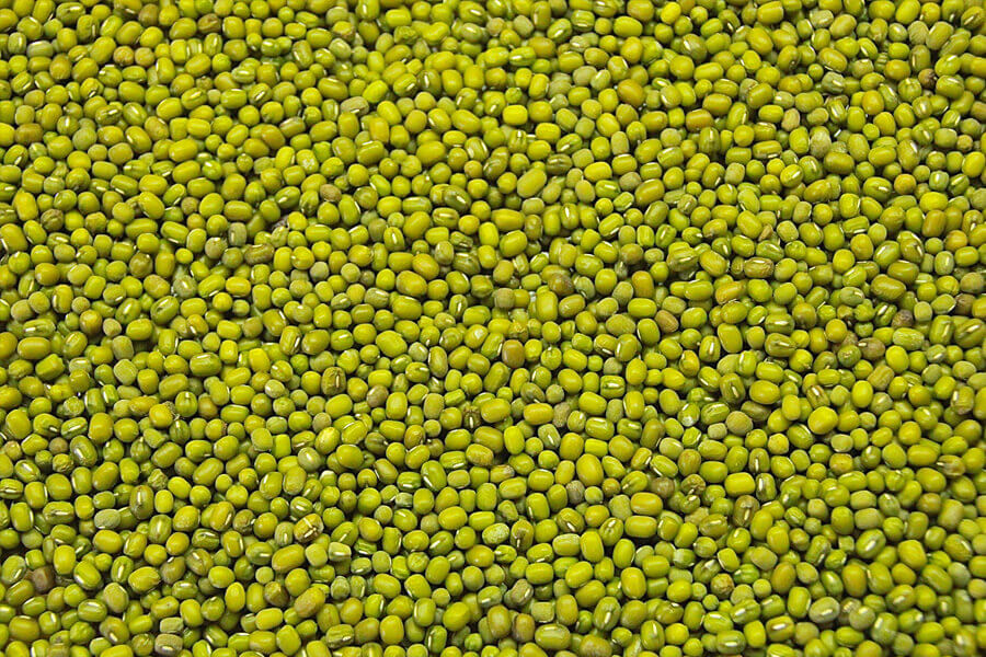 Green Mung