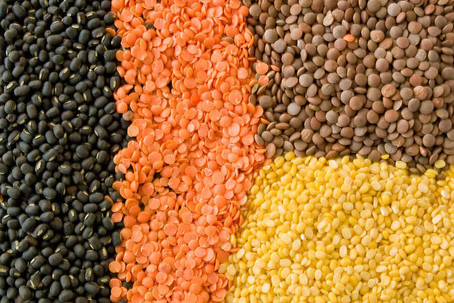 Lentils